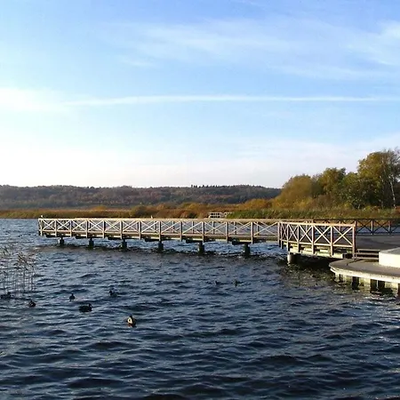 N°1 Comfortable Holiday Binz
